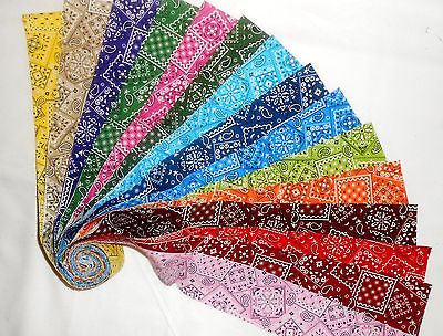 16 2.5 Quilting Fabric Jelly Roll Strips Beautiful Blazing
